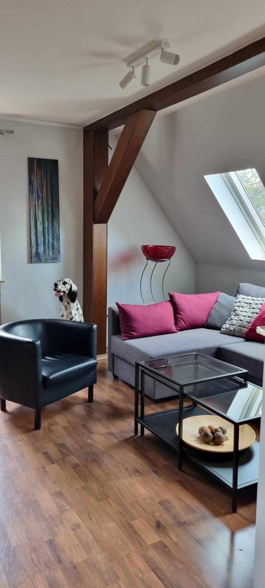 Appartement Drachenburg à Marktbreit Extérieur photo